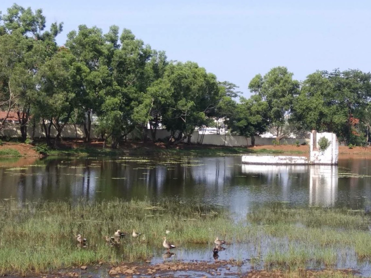 Attiveri Bird Sanctuary